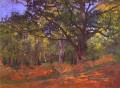 Die Bodmer Eiche Fontainebleau Claude Monet
